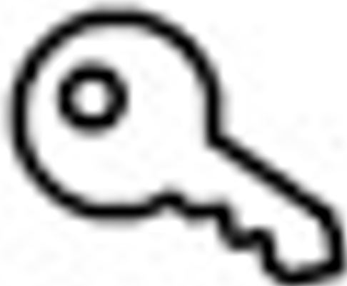 Key icon