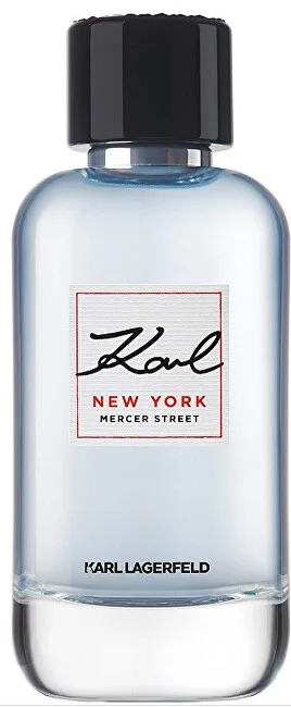 Karl new york mercer street