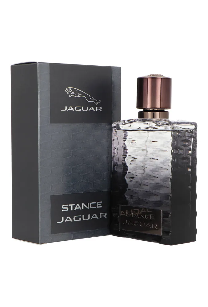 Jaguar Stance thumbnail 3