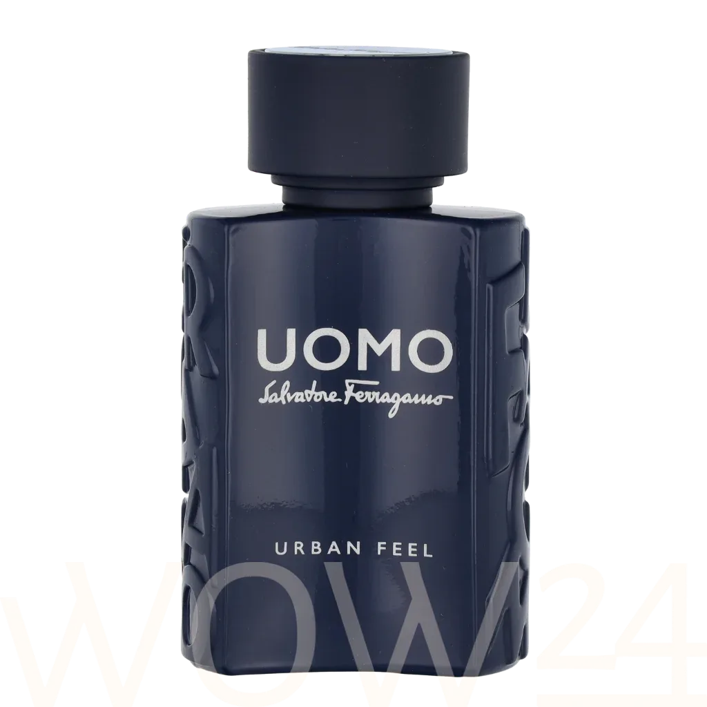 Ferragamo Uomo Urban Feel thumbnail 5