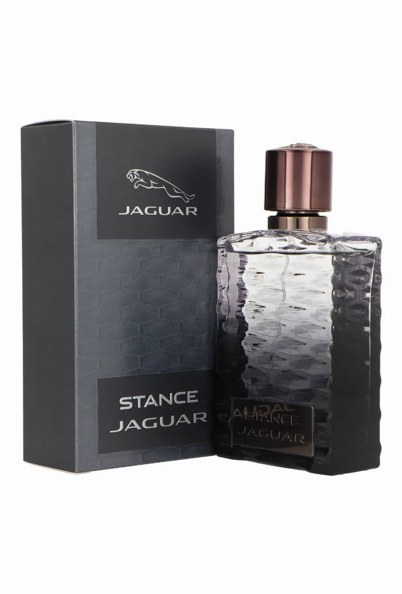 Jaguar Stance thumbnail 4