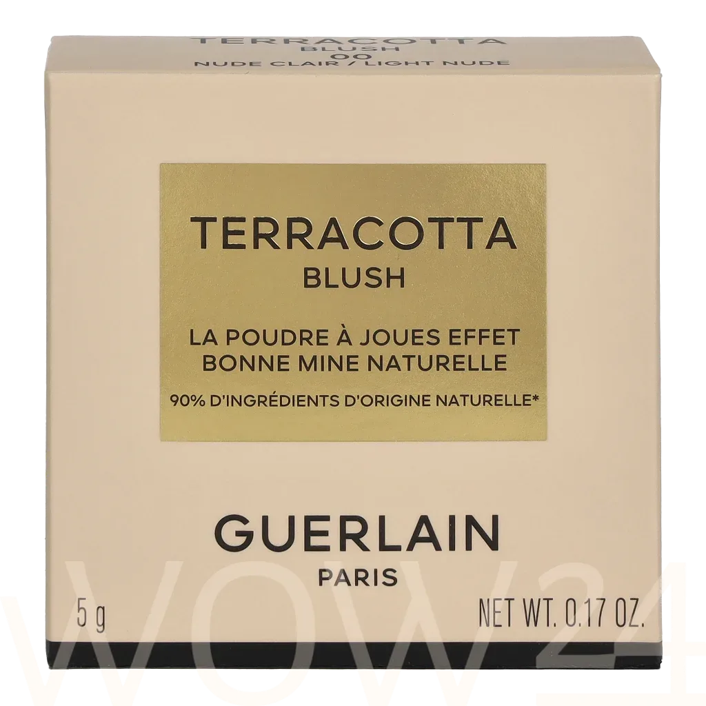 Guerlain Terracotta Blush thumbnail 2