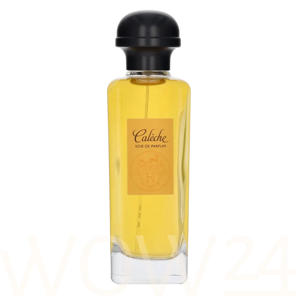 Hermes Caleche thumbnail 5
