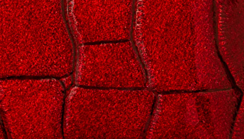 DuKaS Family red manicure Solingen shiny faux leather PL25204 thumbnail 4