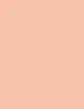 Shiseido The Makeup Concealer Stick thumbnail 2