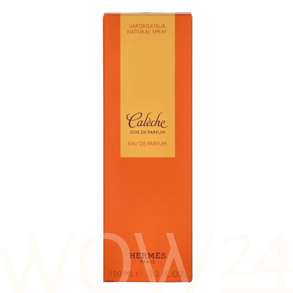 Hermes Caleche thumbnail 2