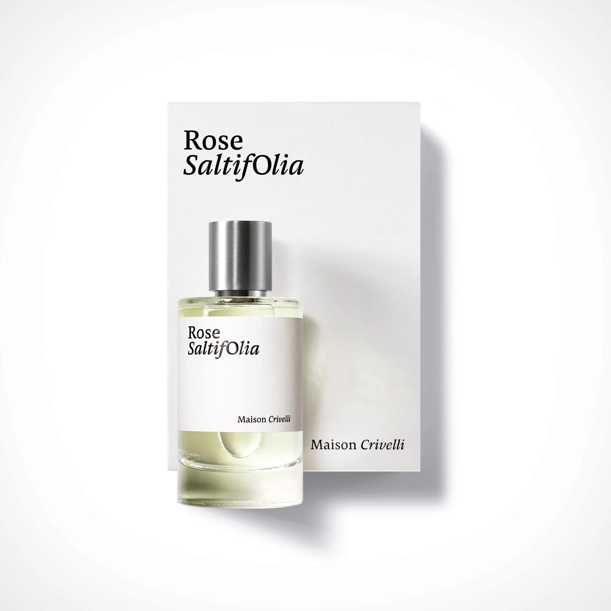 Maison Crivelli Rose saltifolia thumbnail 3