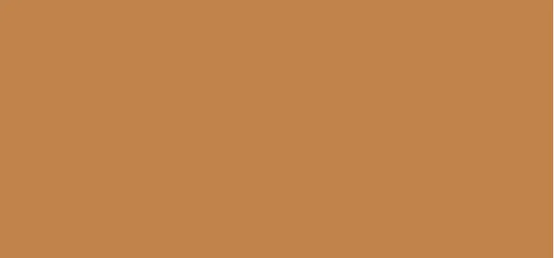Shiseido Shiseido Synchro Skin Radiant Lifting Concealer 303 2,7g thumbnail 2