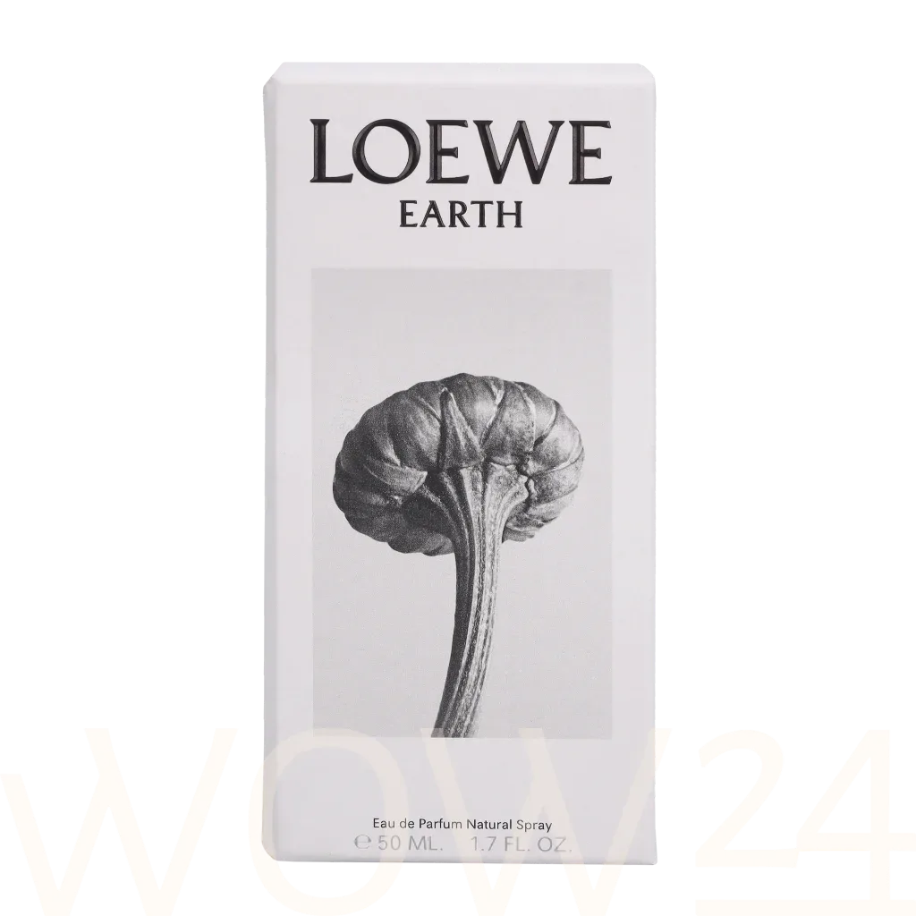 Loewe Earth thumbnail 2