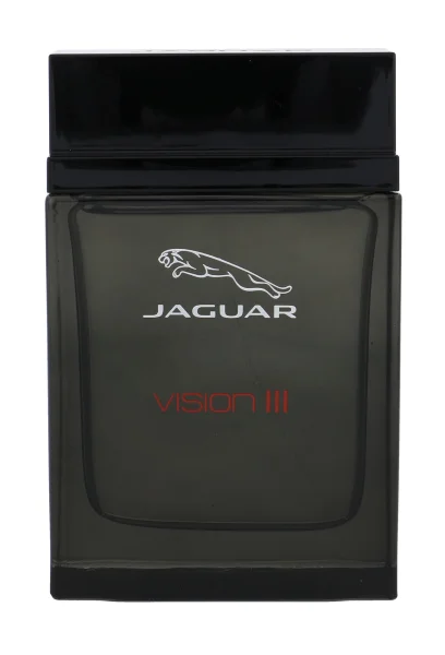 Vision iii