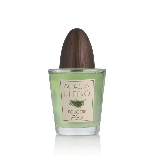Acqua di pino fougère