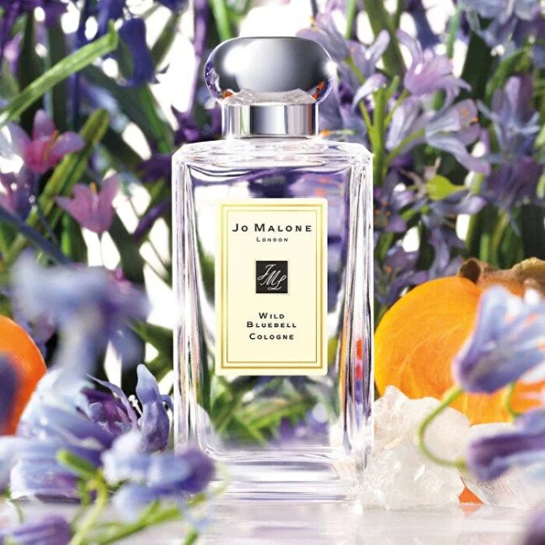 Wild bluebell thumbnail 2