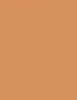 Esteé Lauder long-lasting makeup SPF 10 30 ml 3W1 Tawny Double Wear Stay-in-Place Makeup thumbnail 8