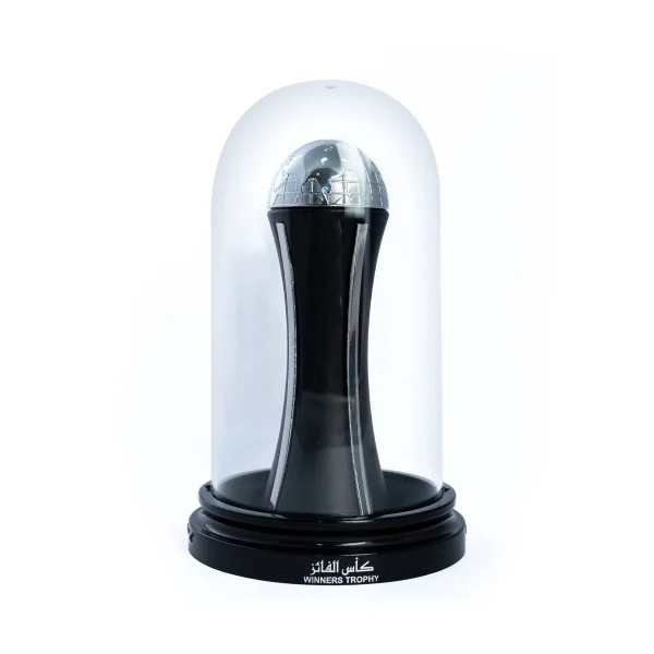 Pride winners trophy silver