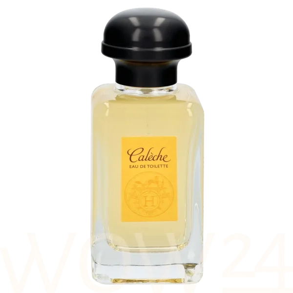 Caleche thumbnail 7