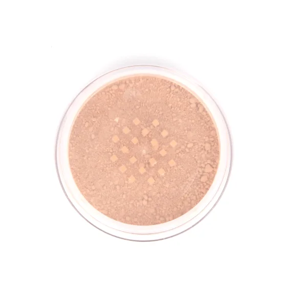 Pure minerals mineral powder foundation