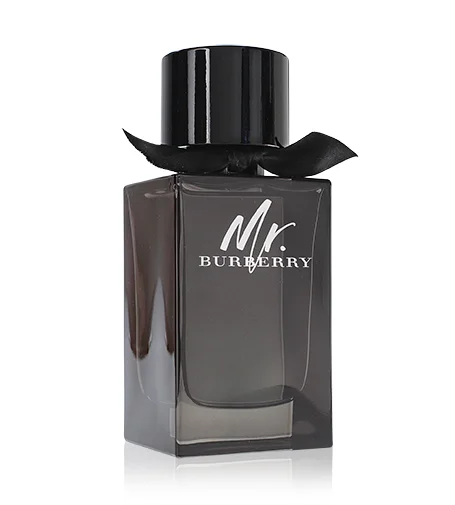 Mr. burberry thumbnail 3
