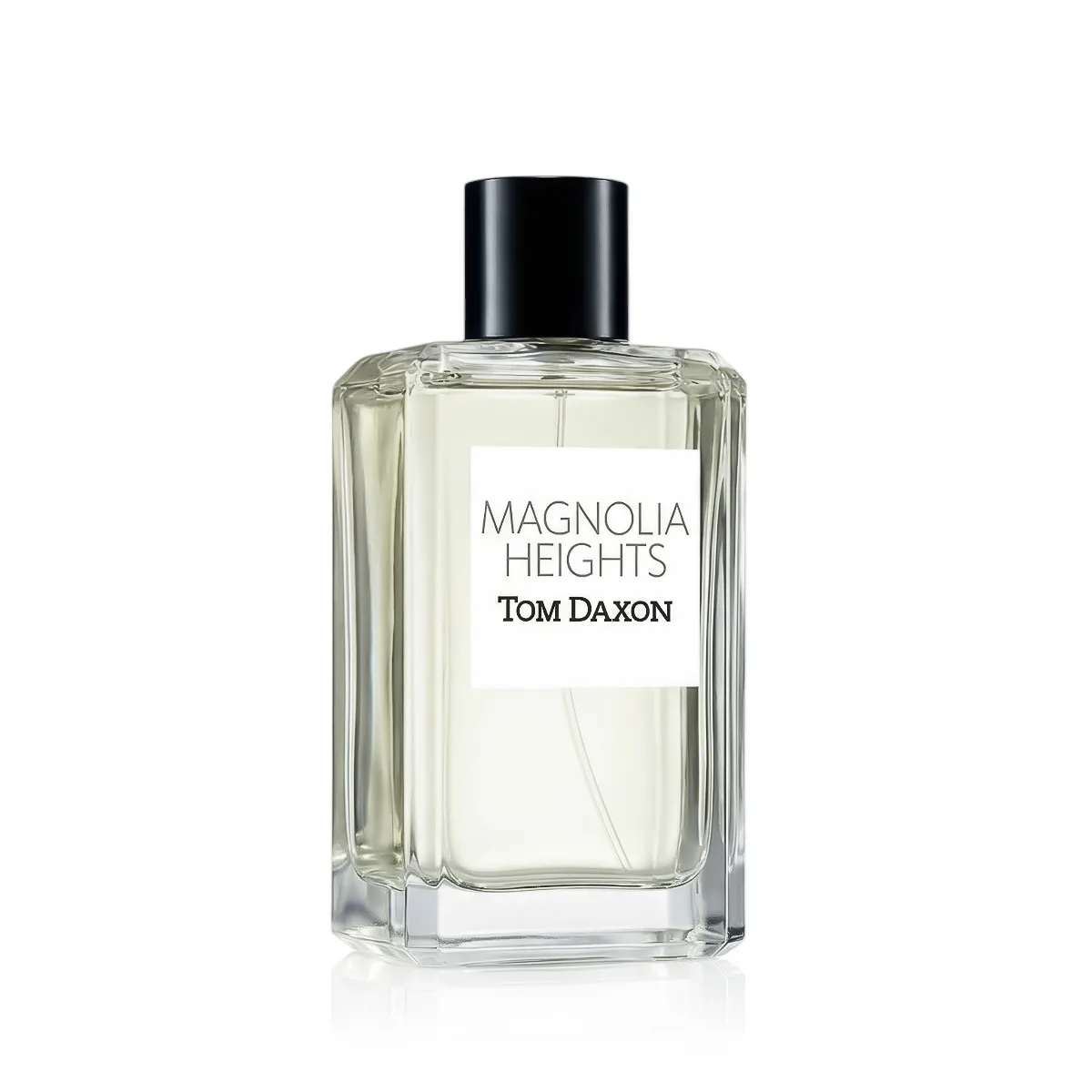 Tom Daxon Magnolia Heights thumbnail 2