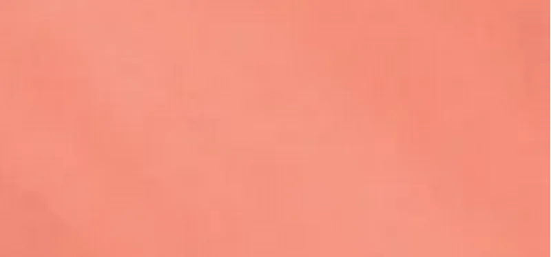 Chanel Chanel Les Beiges Water-Fresh Blush thumbnail 6