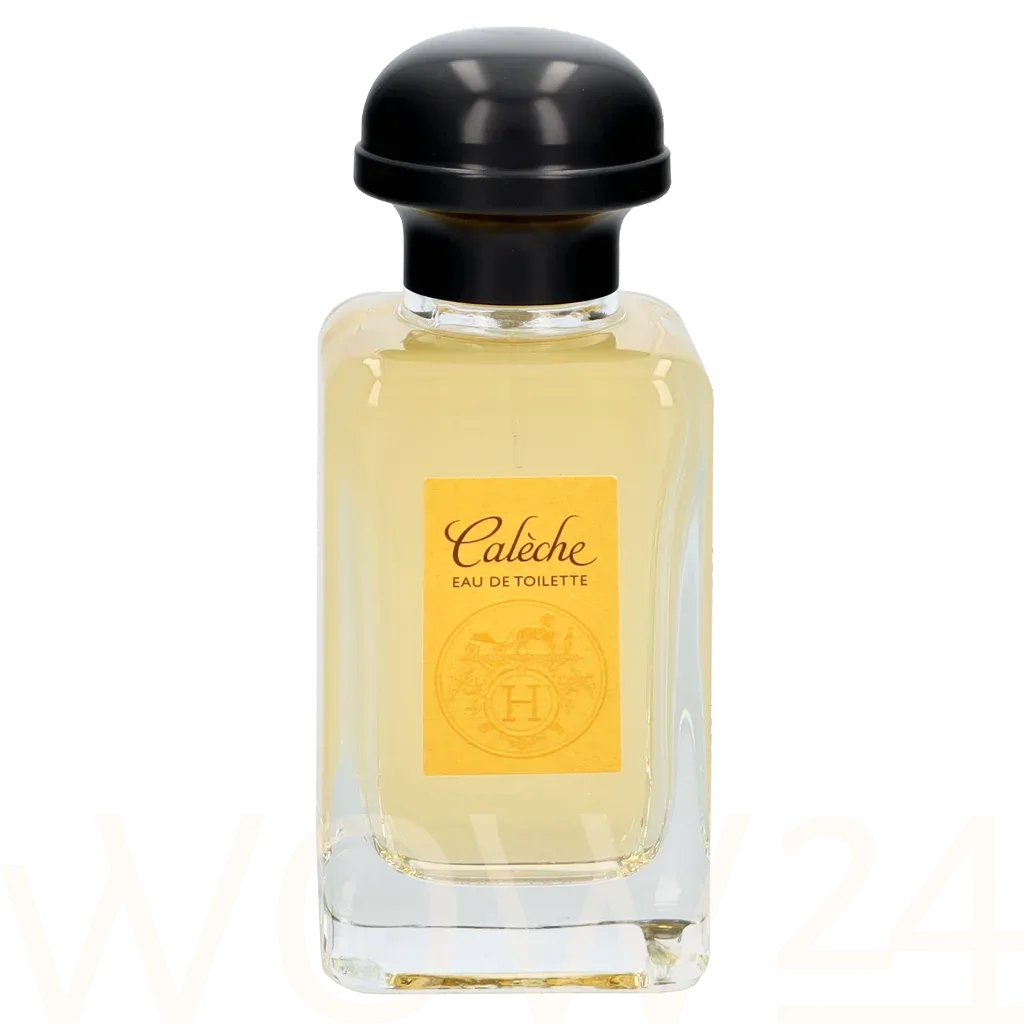 Hermes Caleche thumbnail 5
