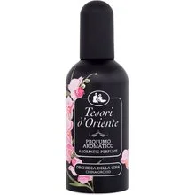 Orchidea della cina thumbnail 2