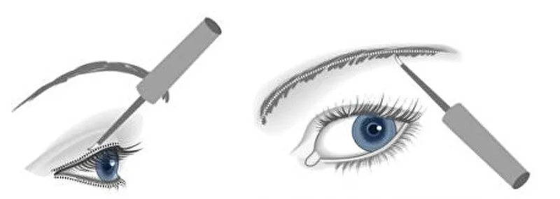 Synouvelle Cosmeceuticals (Lash & Brow Activating Serum) thumbnail 6