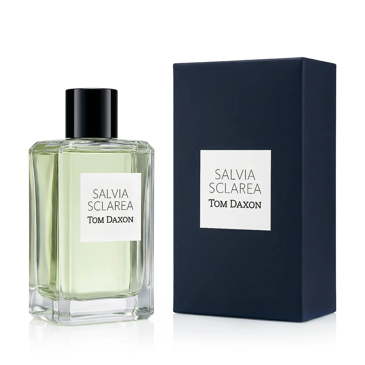 Tom Daxon Salvia Sclarea thumbnail 2