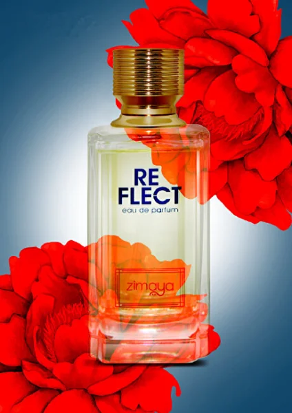Reflect thumbnail 2
