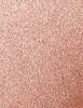 Forever glow maximizer bronze thumbnail 2
