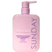 S.u.n.d.a.y thumbnail 2