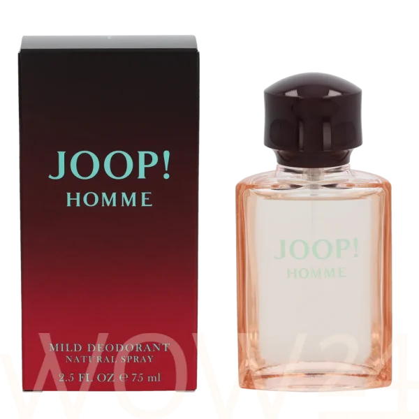 Homme thumbnail 11