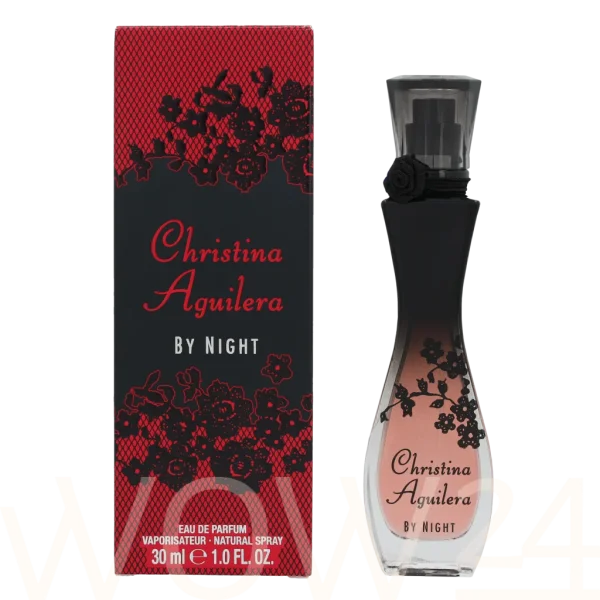 Christina aguilera by night thumbnail 8