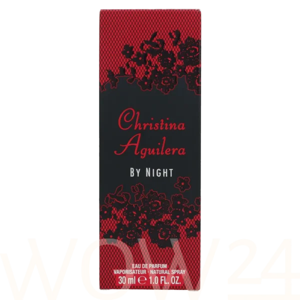 Christina aguilera by night thumbnail 5