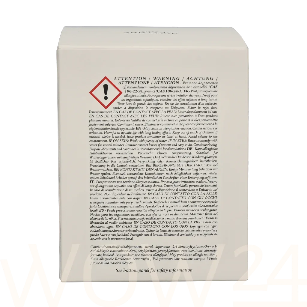 Diptyque Diptyque Geranium Rosa Scented Candle thumbnail 3