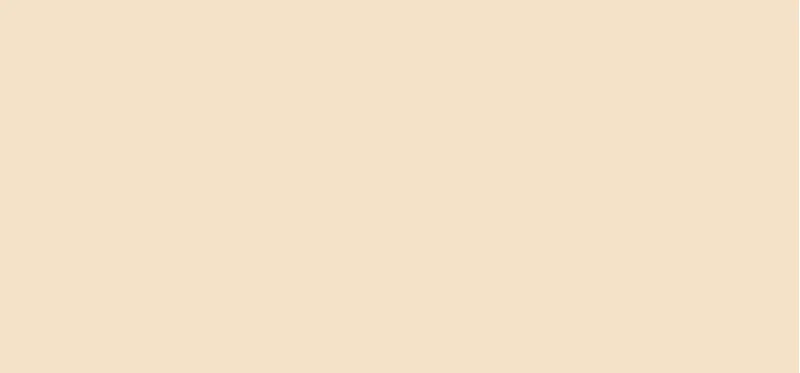 Pola Cosmetics Smooth Camouflage thumbnail 2