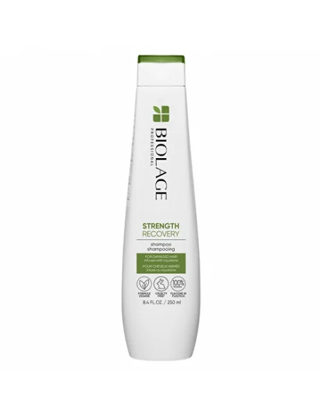 Biolage strength recovery