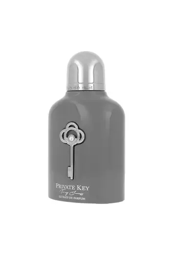 Armaf Beauté Club de nuit private key to my success thumbnail 5