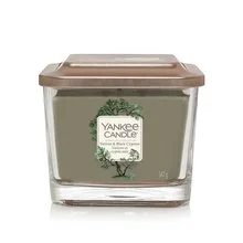 Vetiver & black cypress
