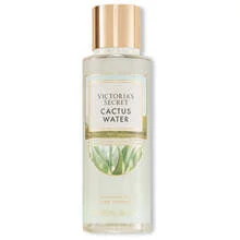 Cactus water thumbnail 2