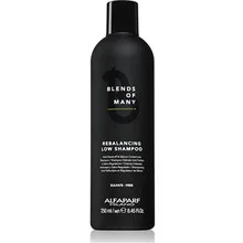 Blends of many rebalancing