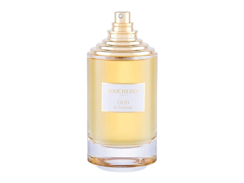 La Collection Oud de Carthage