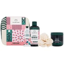 British rose bloom & glow