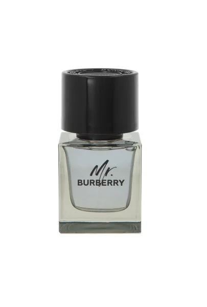Mr. burberry thumbnail 4