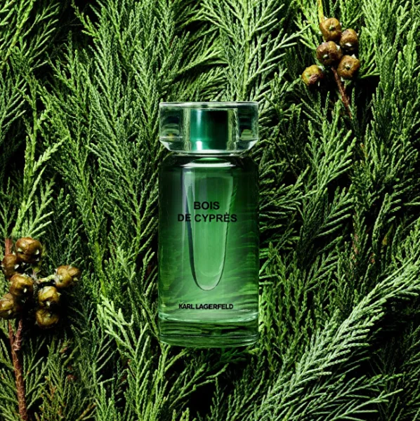 Les parfums matieres bois de cypres thumbnail 3