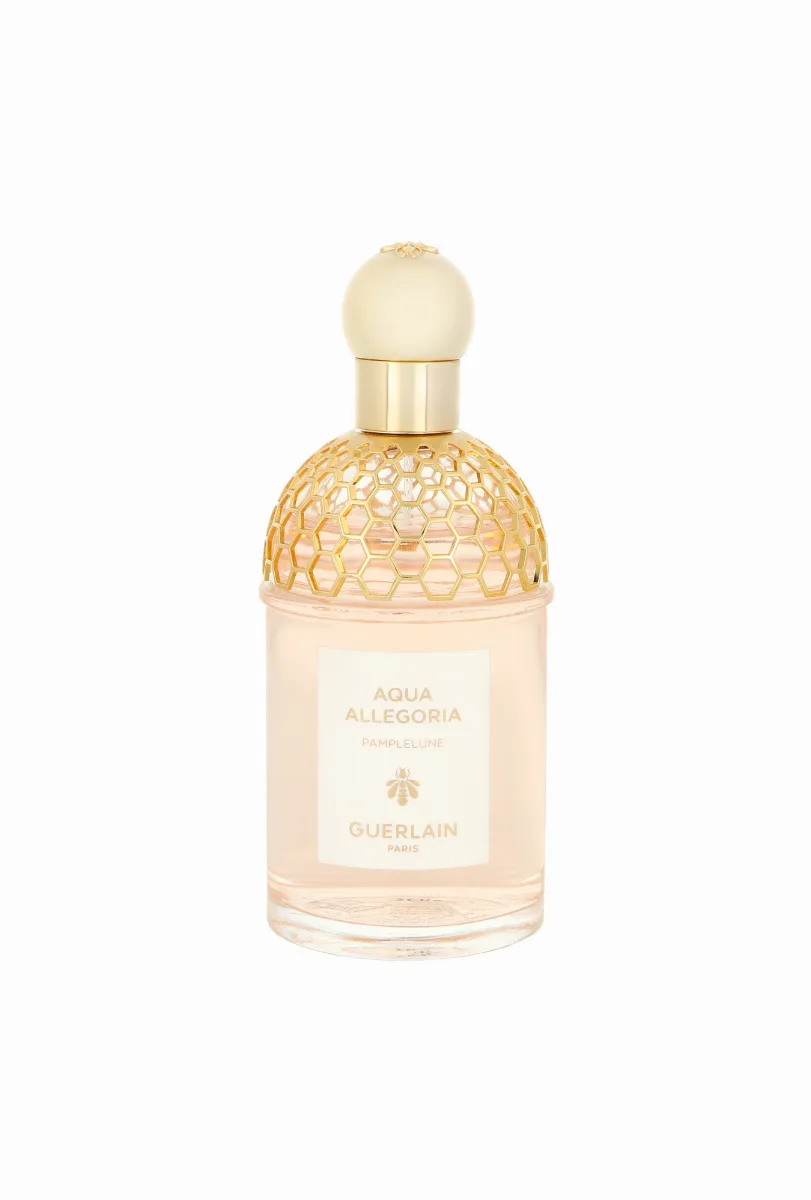 Aqua Allegoria Pamplelune