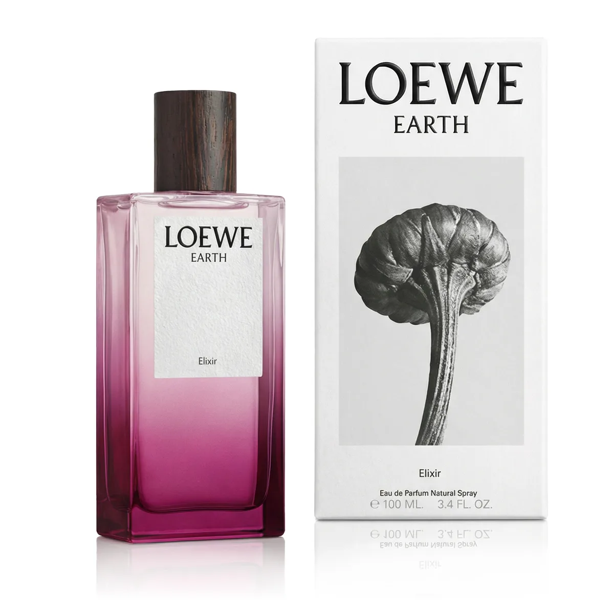Loewe Earth Elixir thumbnail 6