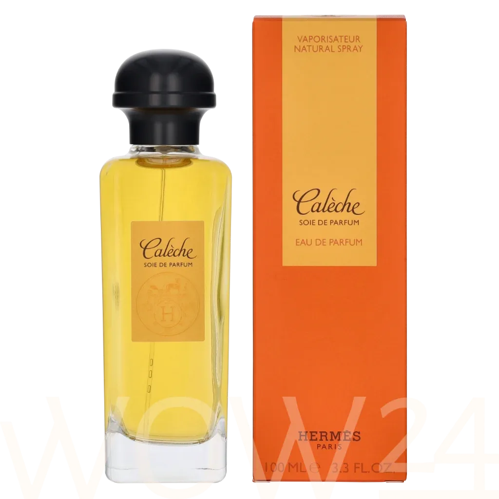 Hermes Caleche thumbnail 4