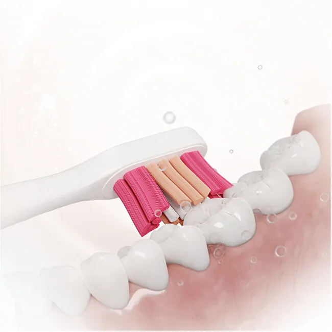 Sencor Sonic toothbrush SOC 4201GD thumbnail 6
