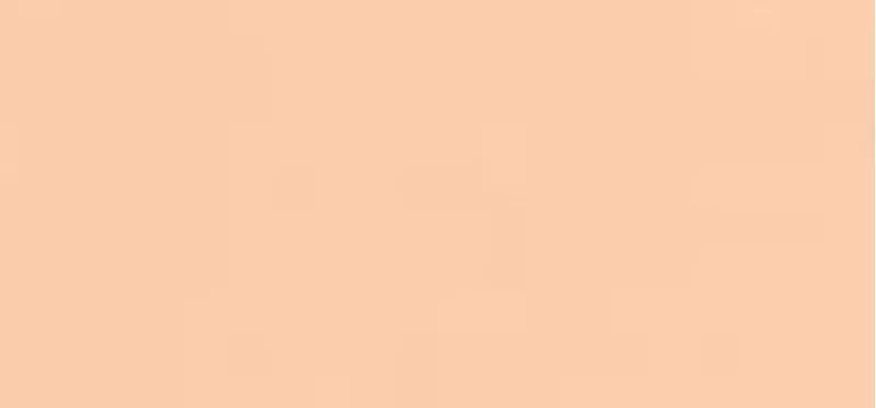 Chanel Les Beiges Healthy Glow thumbnail 8