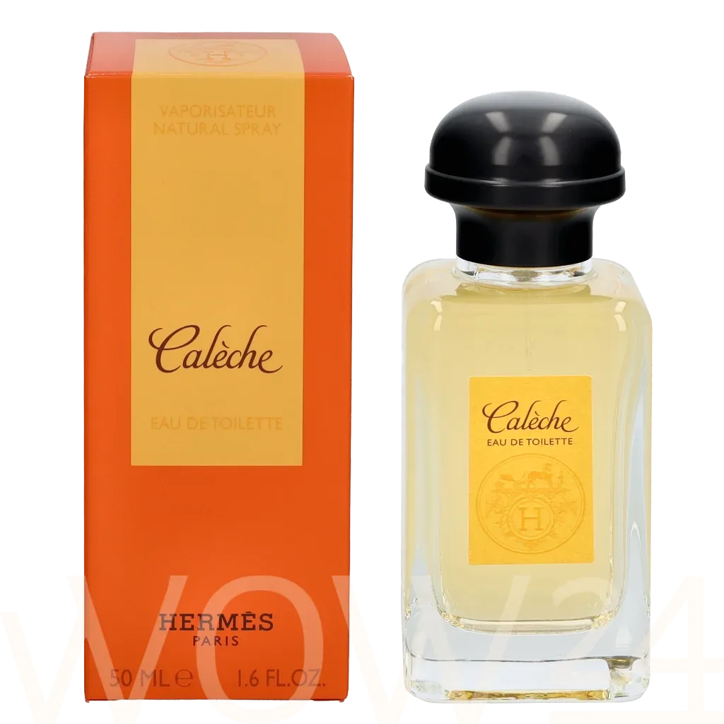 Hermes Caleche thumbnail 4